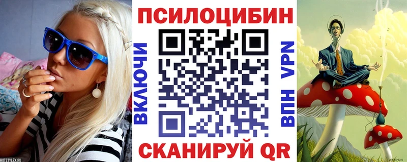 Псилоцибиновые грибы Psilocybine cubensis  Галич 